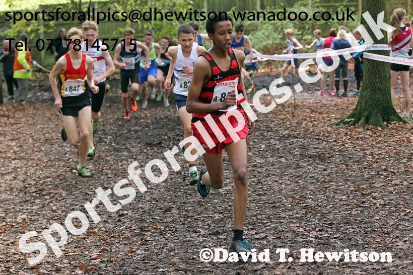 Boys under-15s, National Cross Country Relays, Berry Park, Mansfield. Photo: David T. Hewitson/Sports for All Pics